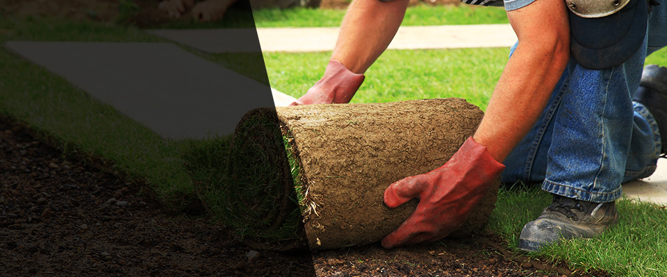 New Egypt Landscapers